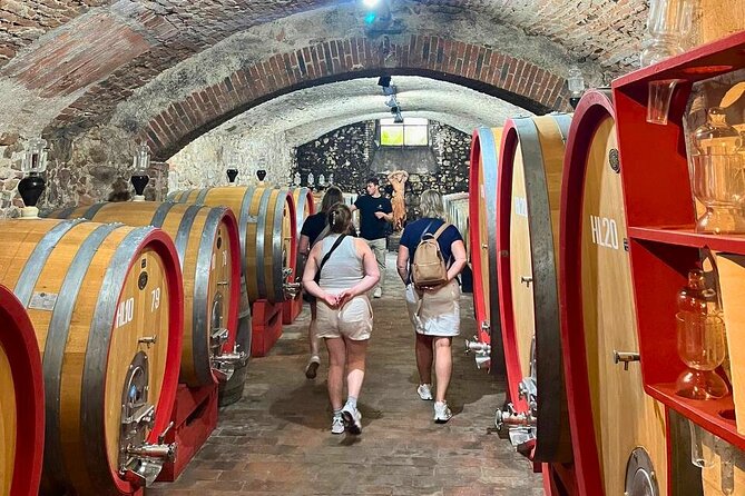 Pisa, Vinci, Tuscany, Wine tasting all in one day! - Small Group - Timing, cancellation, and the Rome option