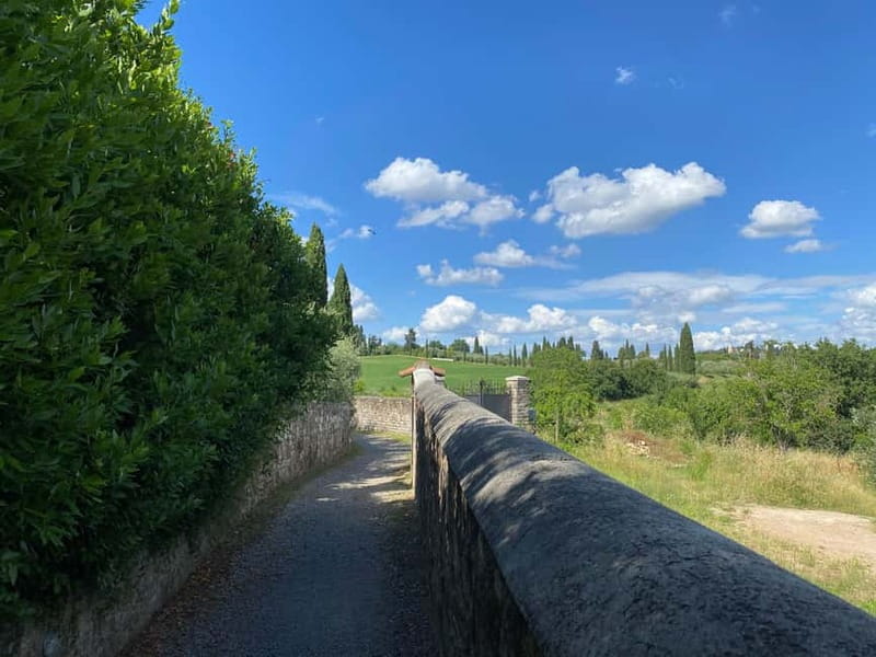 Premium Chianti E-Bike Tour, Food Wine Tasting + Photo shoot - From Piazza Ognissanti to Florence’s best viewpoint