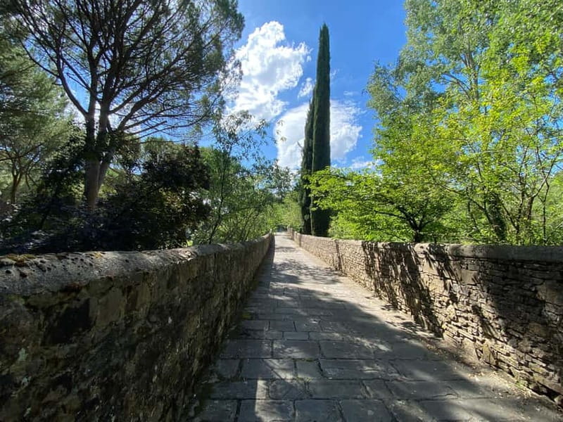 Premium Chianti E-Bike Tour, Food Wine Tasting + Photo shoot - Rain, clothing, and riding limits