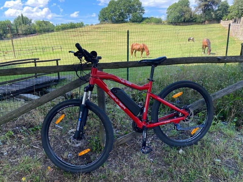 Premium Chianti E-Bike Tour, Food Wine Tasting + Photo shoot - Who will enjoy this ride most