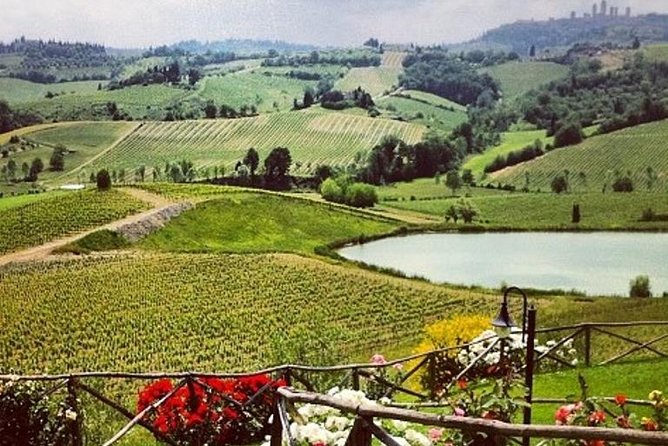 Private Chianti Classico Tour with wine and food tasting in a Historic Estate - Key points to know before booking