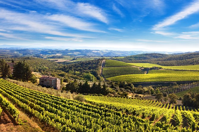 Private Chianti Classico Tour with wine and food tasting in a Historic Estate - Piazza Matteotti and the small-town pause in Greve