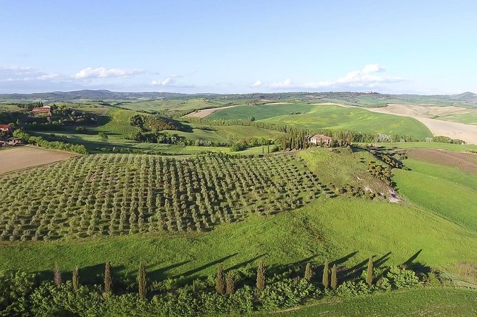 Private Chianti Classico Tour with wine and food tasting in a Historic Estate - The private driver is more than a transfer