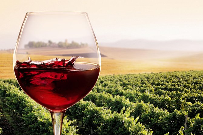 Private Chianti Classico Tour with wine and food tasting in a Historic Estate - Who will enjoy this half-day most?