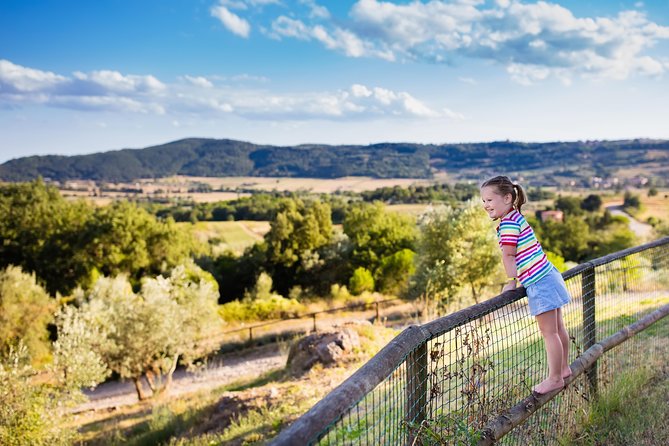 Private Chianti Tuscany Wine Tasting Tour from Florence - The Chiantigiana road is part of the experience