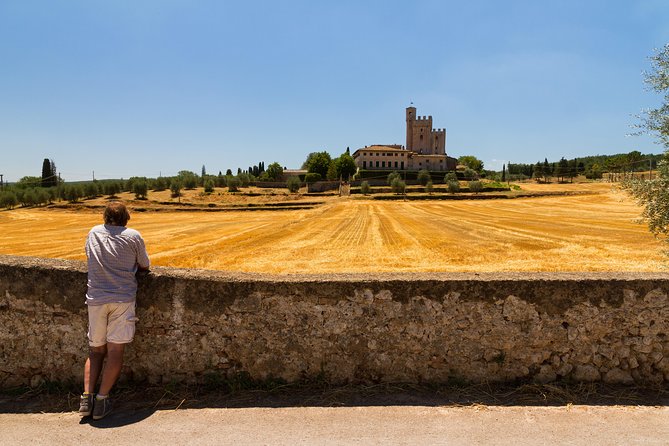 Private Chianti Tuscany Wine Tasting Tour from Florence - Castellina in Chianti offers a change of pace