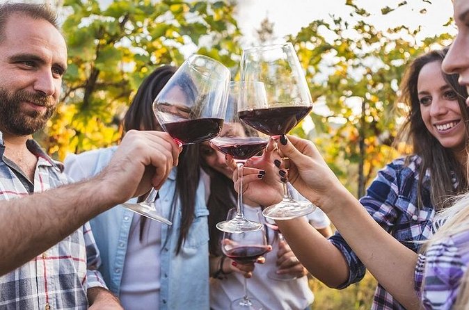 Private Chianti Tuscany Wine Tasting Tour from Florence - Private transport makes the day easier