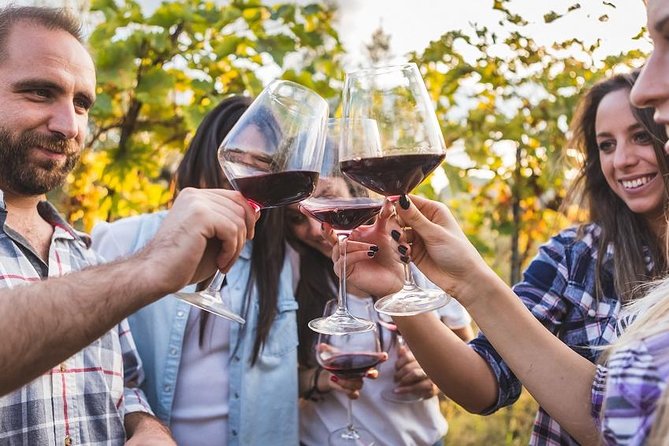 Private Chianti Tuscany Wine Tasting Tour from Florence - The first winery combines cellar, vineyard, lunch, and wine