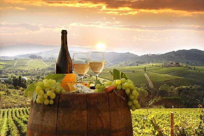 Private Chianti wine tour leaving from Florence - Key points at a glance