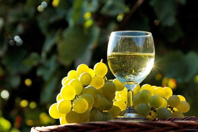 Private Classic Wine Tour in Chianti from Florence - Understanding the Chianti Classico focus