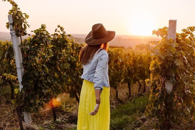 Private Classic Wine Tour in Chianti from Florence - Three winery visits around Castellina
