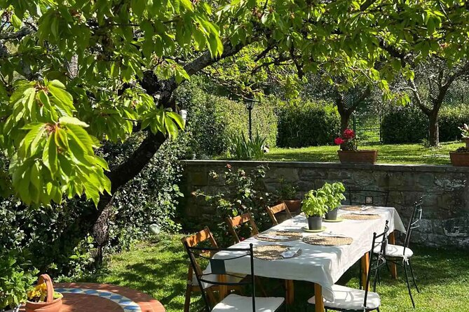 Private Cooking Lesson with a Typical Italian Family - Garden produce, fresh eggs, and local meat