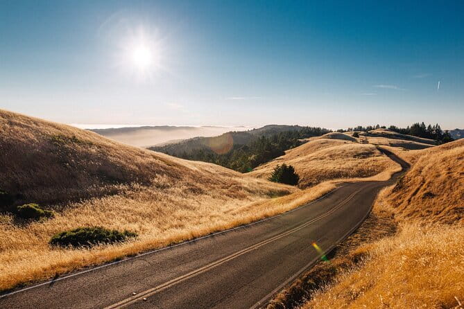 Private Day Tour from Florence to Pisa, Chianti and San Gimignano - The Chianti road back to Florence