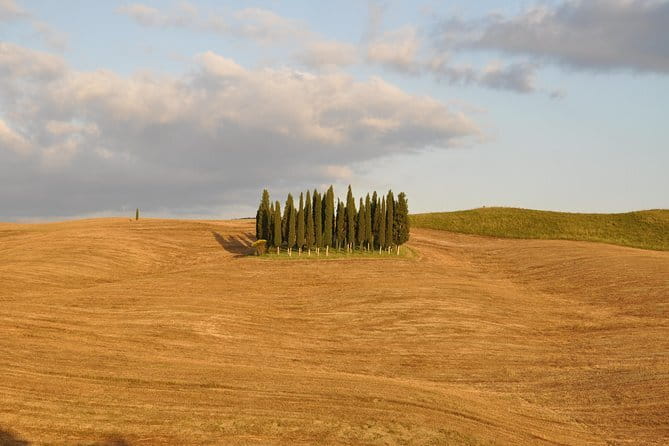 Private Day Trip to Montalcino and Montepulciano from Florence - Pienza, with time only if the clock allows