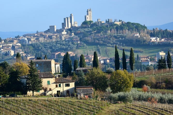 Private Day Trip to Montalcino and Montepulciano from Florence - How much the day costs beyond the headline price
