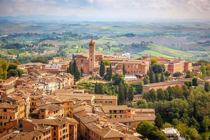 Private day trip to Siena, San Gimignano, Chianti and Pisa, from Florence - Pisa: a focused visit to Piazza dei Miracoli
