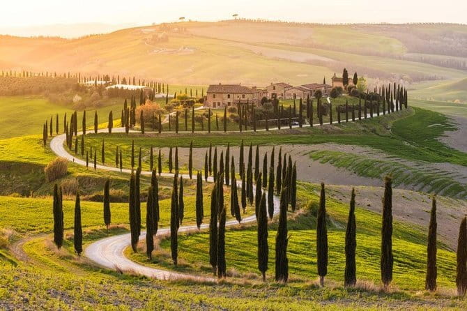 Private Day Trip Tuscany Landscape and Wine Tasting from Florence - A nine-hour route from Florence into Tuscany