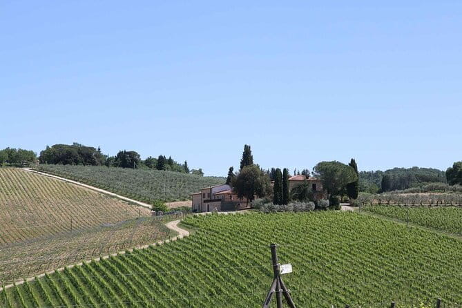 Private daytrip to Siena & Chianti wine country, with wine tasting from Florence - Why a private day in Chianti makes sense