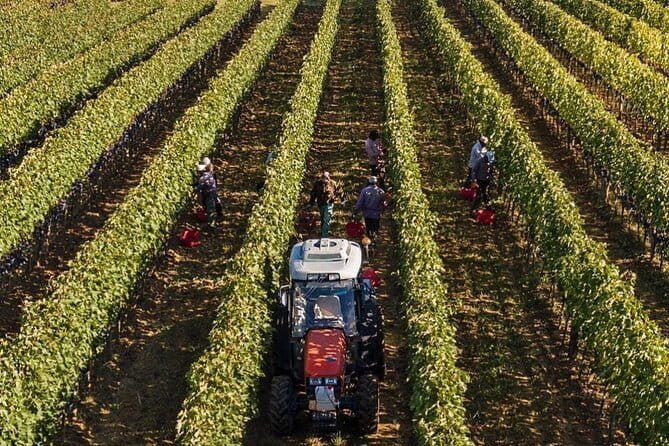 PRIVATE Full-Day Brunello Wine experience from Florence - What the $420.53 Price Really Covers