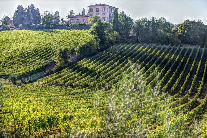 PRIVATE Full-Day Wine Experience in Chianti Classico. - Why this Chianti day works well from Florence