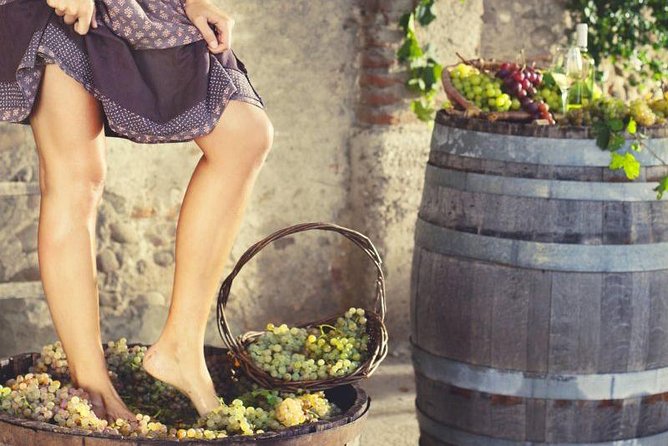 Private Grape stomping in Chianti from Florence - Leaving Florence for the Chianti Hills