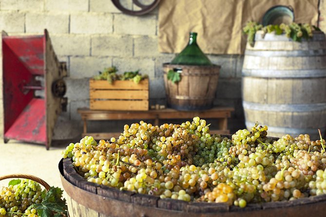 Private Grape stomping in Chianti from Florence - Castellina in Chianti and medieval village time