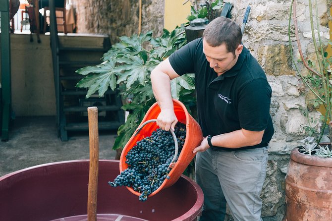 Private Grape stomping in Chianti from Florence - Who will get the most from this experience