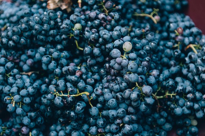 Private Grape stomping in Chianti from Florence - Is $473.22 per person a fair price?