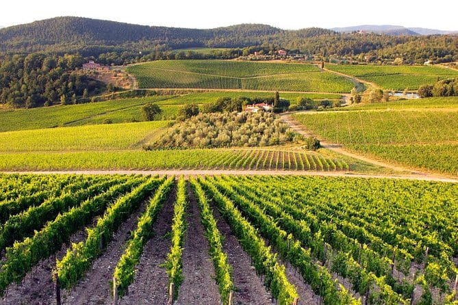 Private guided tour: Siena San Gimignano and Chianti - Key points to know before booking
