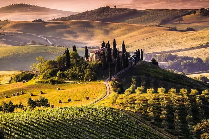 Private guided tour: Siena San Gimignano and Chianti - Siena and the wide sweep of Piazza del Campo