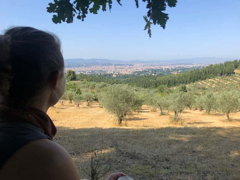 Private Hiking Florence Tour with Wine and Lunch or semi-pri - Farm lunch with wine and a wide view