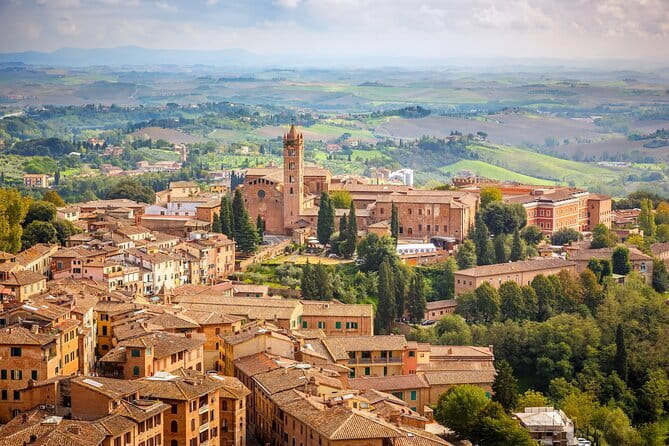 Private Montepulciano & Pienza Day Trip from Florence - Timing, comfort, and the small practical details