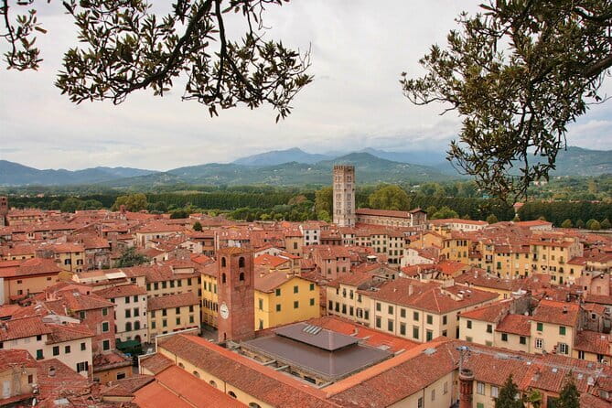 Private Pisa and Lucca Tour from Florence with Transportation - Piazza dei Miracoli and the Leaning Tower