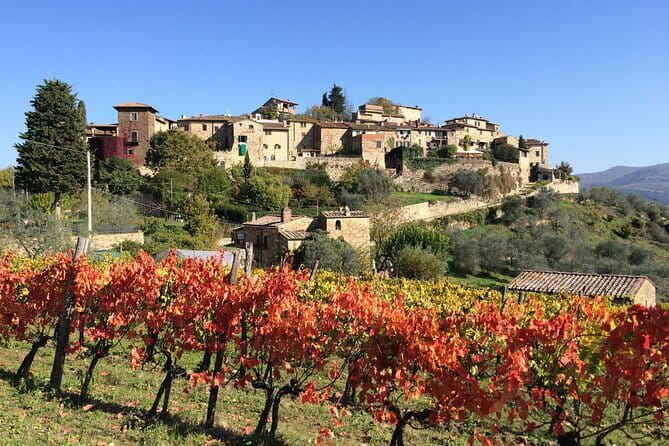 Private Siena, S. Gimignano, Chianti Road and Wine Tasting - Key points to know before booking
