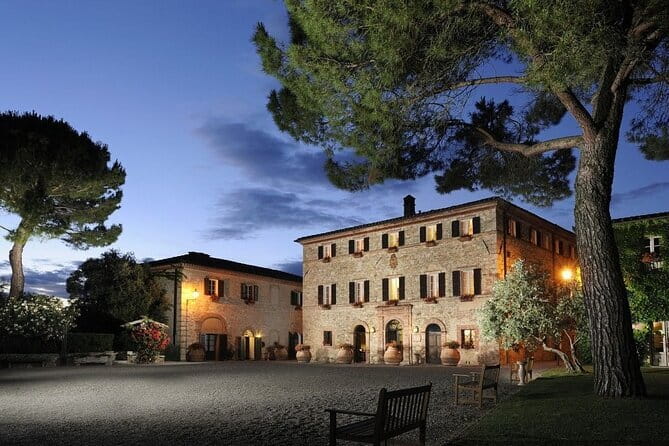 Private Tour and Wine Tasting at Castle-Wineries in Chianti from Florence - What the private guide adds