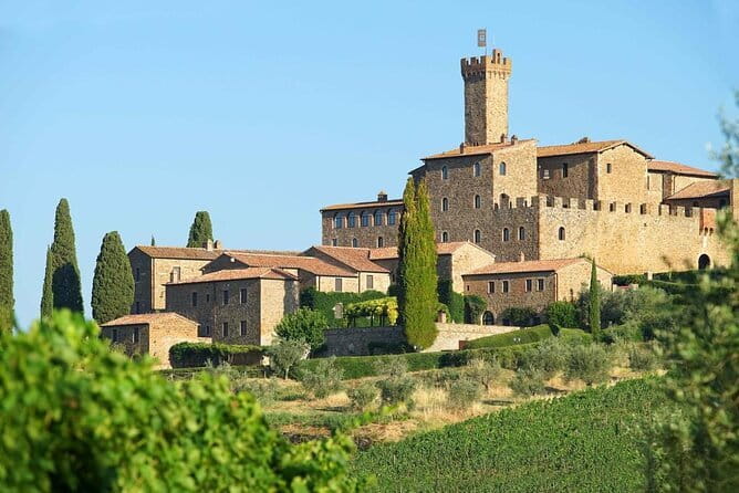 Private Tour and Wine Tasting at Castle-Wineries in Chianti from Florence - Radda in Chianti: wine inside a fortified village
