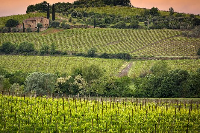 Private tour Brunello di Montalcino and Nobile di Montepulciano wine experience in Tuscany - Montalcino, Brunello, and a long Tuscan lunch