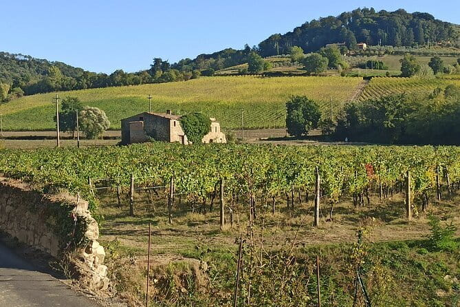 PRIVATE TOUR: Chianti Afternoon tour with visit to 2 wine farms - Key points to know before you book