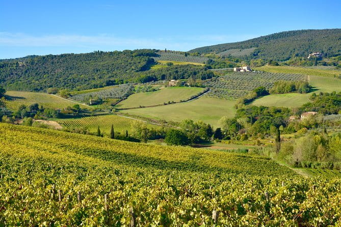 Private Tour: Chianti Region Tour by Minivan - The scenic drive through the Tuscan hills