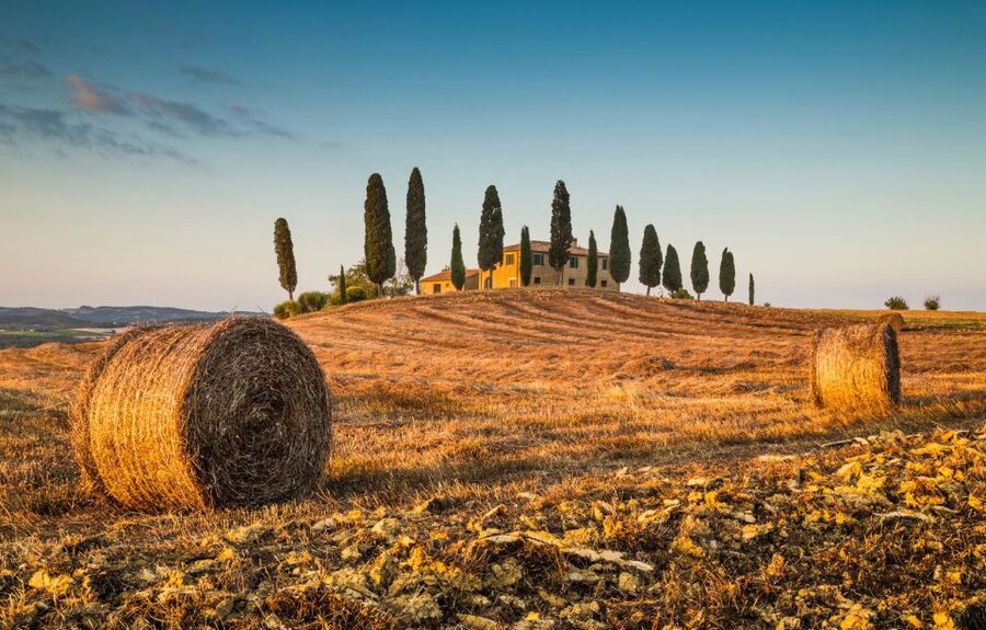 Private Tour From Florence to Cortona and Montepulciano - Why this private day works well from Florence