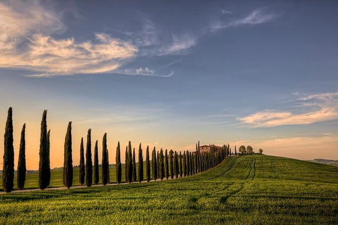 Private Tour: Medieval Val d'Orcia by Minivan from Florence - Key points to know before you book