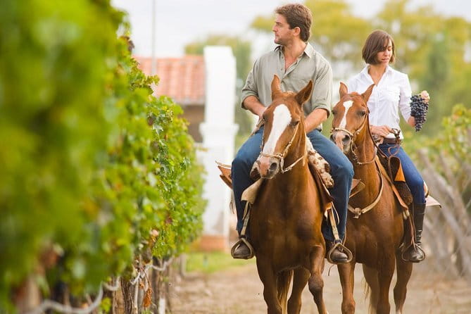 Private Tour to Siena and Montalcino from Florence - Brunello at Montalcino’s fortress
