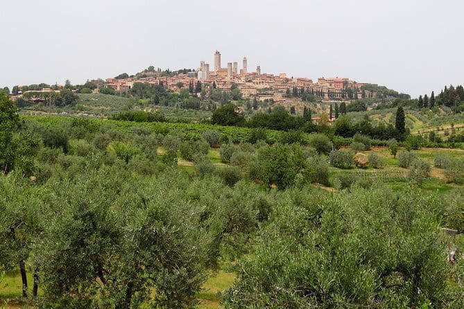 Private Tour to Siena and San Gimignano with Wine Tasting & Lunch - Key points before you book