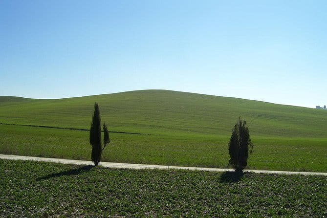 Private Tour to Siena and San Gimignano with Wine Tasting & Lunch - San Gimignano and its medieval towers