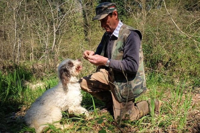 Private Truffle Hunting in Chianti from Florence - From Piazza della Repubblica to the Chianti woods