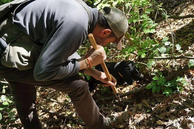 Private Truffle Hunting in Chianti from Florence - Meeting the hunter and the four-legged experts
