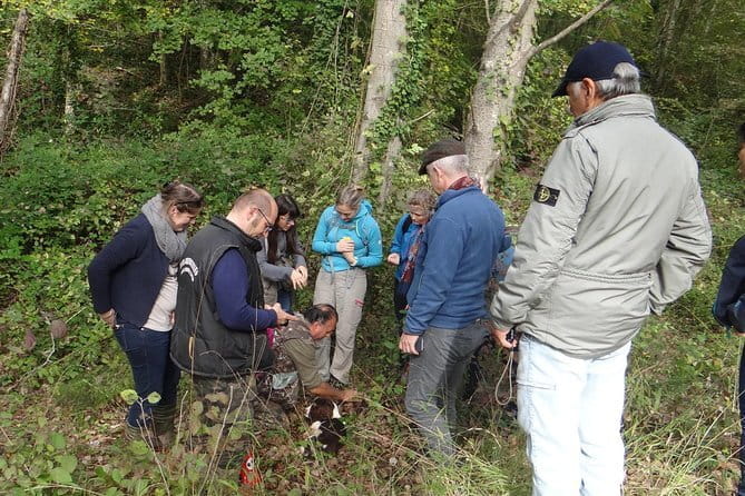 Private Truffle Hunting in Chianti from Florence - Booking details worth checking