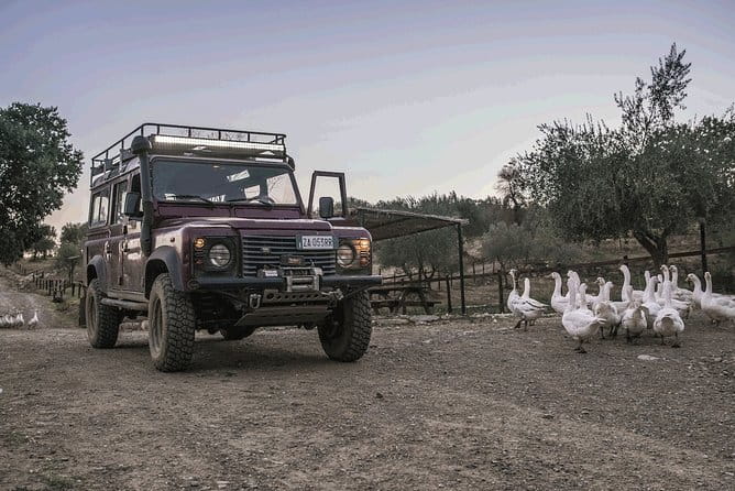 Private Truffle Hunting in Chianti from Florence - Should you book this truffle hunt?