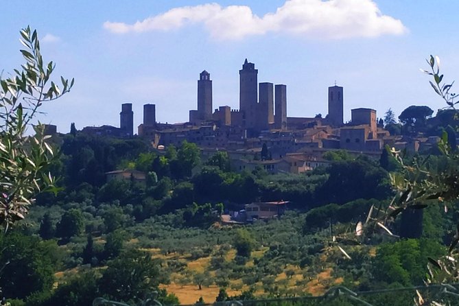 Private Tuscan Cooking Class And Wine Tasting in Radda in Chianti - Eat at the outdoor table with Giorgia and Luigi