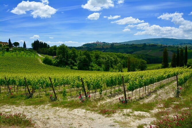 Private Tuscany Day Tour: San Gimignano and Chianti Wine Region from Florence - Why this private Tuscany day trip works